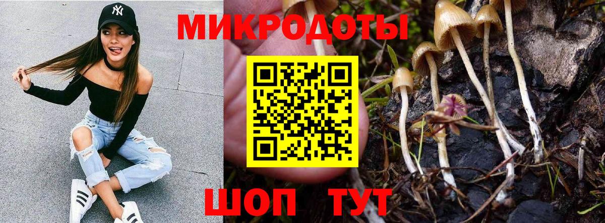 Усть-Джегута  где купить наркоту  Псилоцибиновые грибы MAGIC MUSHROOMS  Вход с VPN  Галлюциногенные грибы ЛСД 