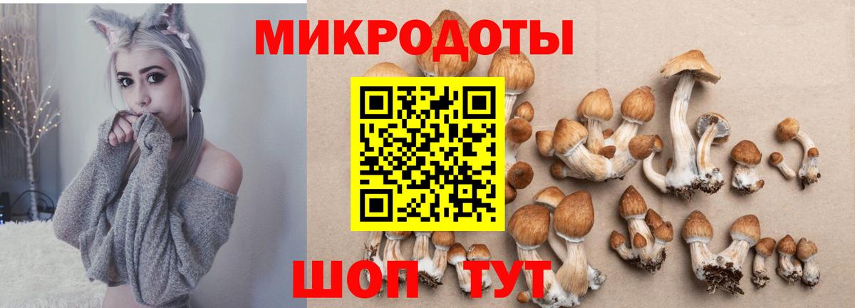 Псилоцибиновые грибы мицелий Усть-Джегута